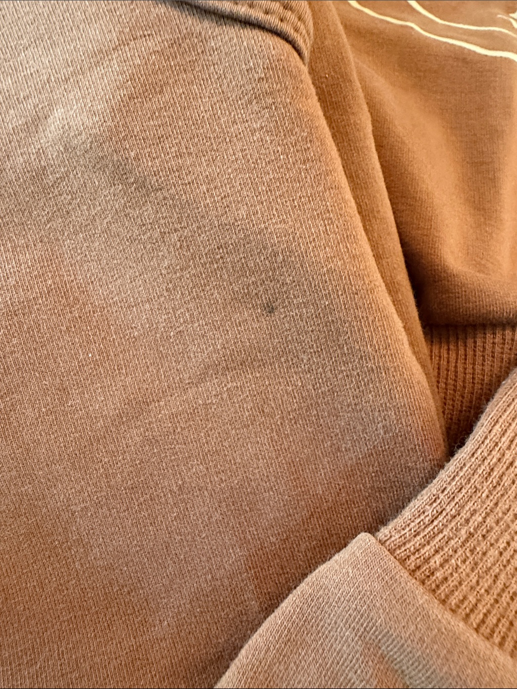 Brown Sweatshirt Set With Ski Bum Logo — image 5 of 8
